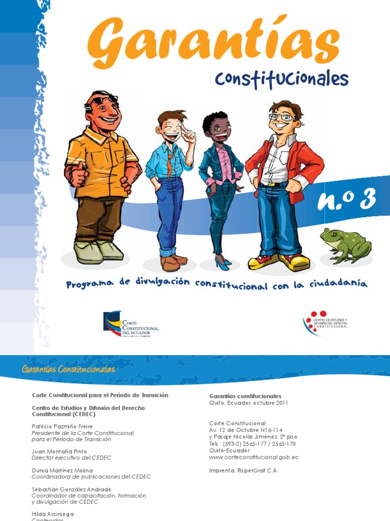 Garantías Constitucionales en Ecuador | PDF | Constitución | Ley ...