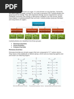 Carbohydrates