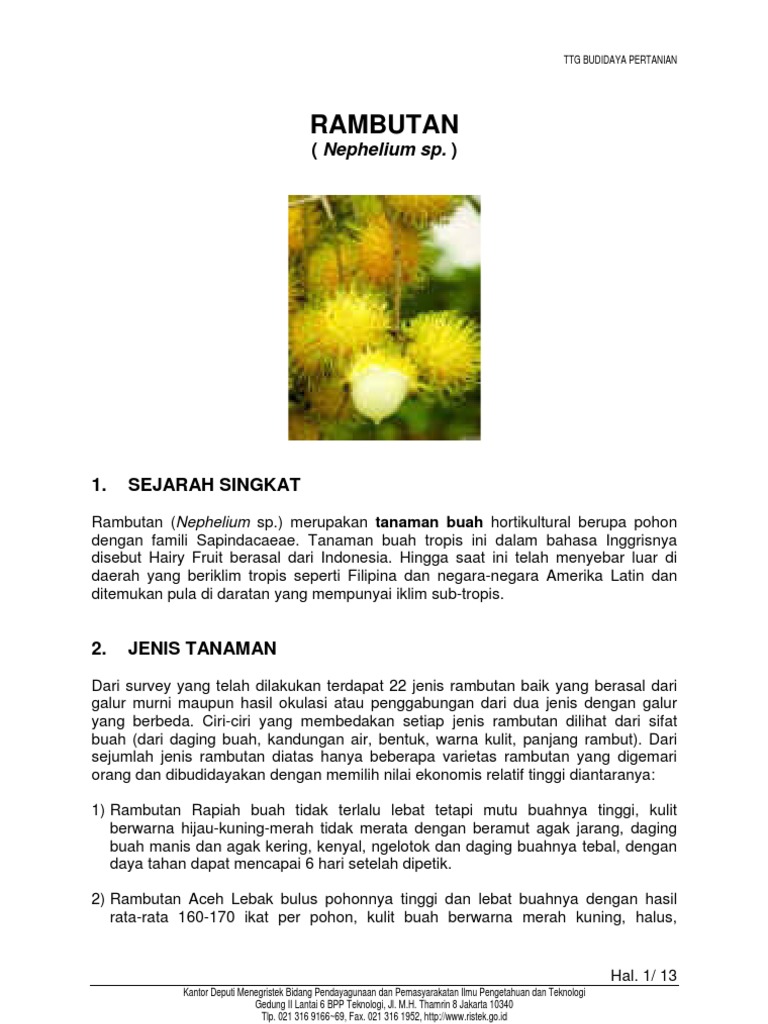 Rambutan | PDF