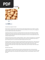 Download 1001 Khasiat Kentang by rudi_stifler SN29392746 doc pdf