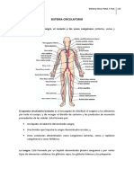 8-Sistema Circulatorio. Patologías y Tratamientos