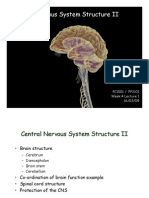 Central Nervous System Structure II: PC1001 / PP2101 Week 4 Lecture 1 16/03/09