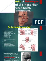 Embriologia, Anatomia Și Fiziologia Nasului Și Sinusurilor