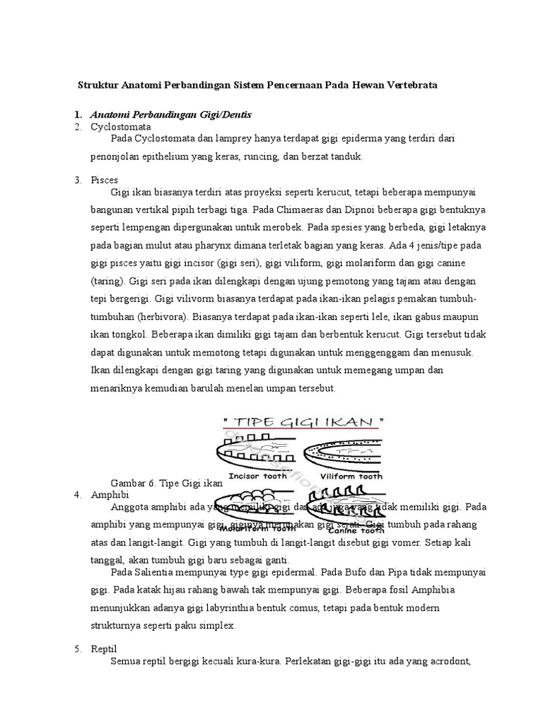 Struktur Anatomi Perbandingan Sistem Pencernaan Pada Hewan