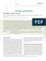 Interactions of The Heart and The Liver