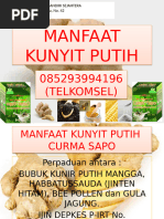 Download MANFAAT KUNYIT PUTIH by Manfaat Kunir Putih SN293964146 doc pdf