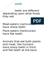 Animal Teeth - Info Texts