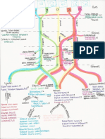 Brachial Plexus and Upper Limb