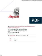 Maurus (Fungsi Dan Perawatan) Crystalangra