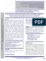 Evaluation of Antioxidant Activity of Large Cardamom (Leaves of Amomum Subulatum)