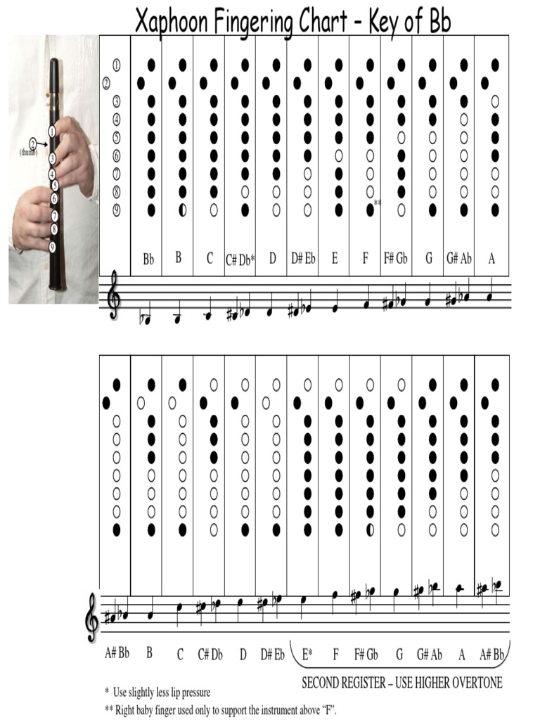 Fingeringchart Bflat | PDF