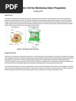 Download Pengertian Stem Cell Dan Manfaatnya Dalam Pengobatan by rikamulia95 SN294017686 doc pdf