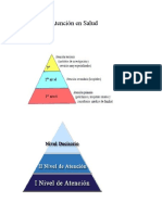 Niveles de Atención en Salud