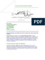 Segunda Ley Biologica Dr Hamer