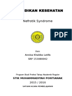 SAP Sindrom Nefrotik