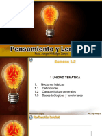 Pensamiento y Lenguaje 