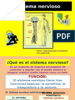 Sistema Nervioso: Prof. Magdalena Guevara Villanueva