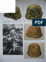 Camouflage Uniforms of The Waffen SS (Fragment)