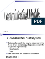 Praktikum Protozoa