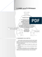 Approfondimenti Linea Del 20