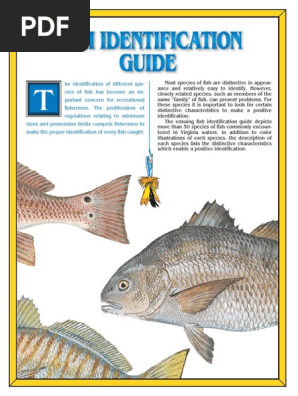 Fish Guide