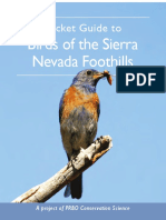 Birds of Sierra Nevada