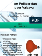 Manuver Politzer Dan Valsava Print