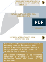 5_Estudios Metalurgicos Mineria Del Oro - F.nunez