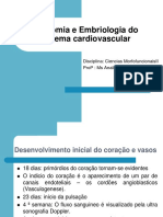 Aula 01 Anatomia e Embriologia Cardiaca