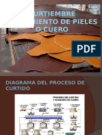 Presentacion Proceso Del Cuero