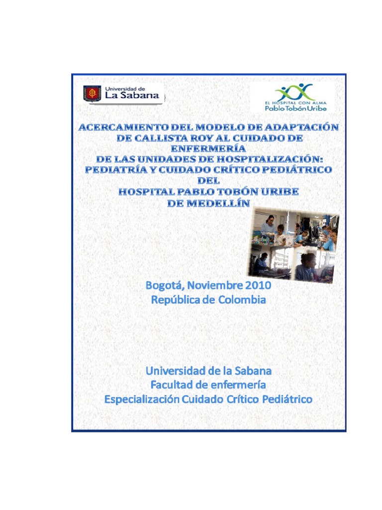 5. Acercamiento Adaptación Callista Roy Al Cuidado de