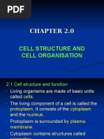 Cell Structure and Organisation | PDF | Endoplasmic Reticulum | Cell ...