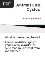 Animal Life Cycles Unit 4 Lesson 6