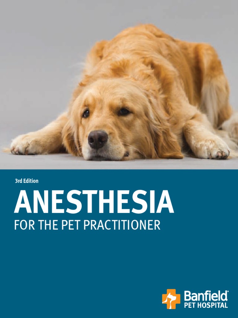 83 Top Best Writers Banfield Anesthesia Book 1 for Kids