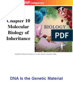 10lecture DNA