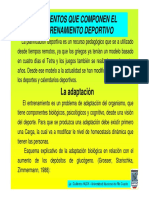 Entrenamiento - Medios - Organizacion PDF