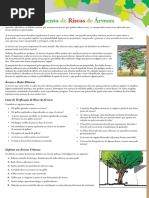 Reconhecimento de Riscos de Arvores