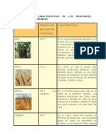 Producción y Características de Los Principales Cereales en El Mundo