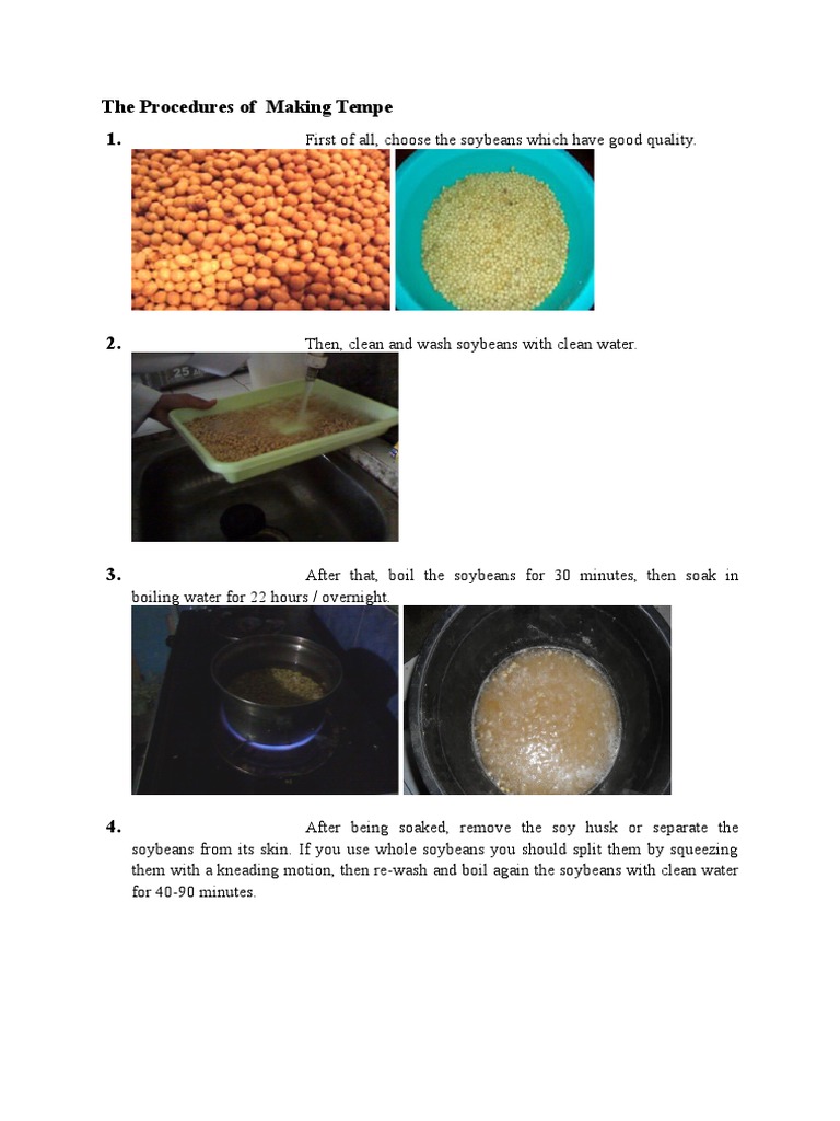 The Procedures of Making Tempe 1 | PDF | Soybean | Food And Drink ...