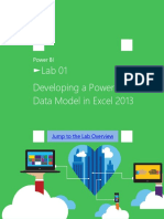 Lab 01 Developing A Power Pivot Data Model in Excel 2013