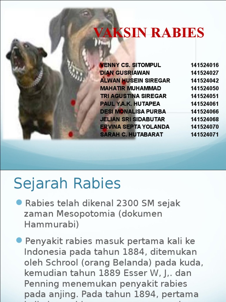 Vaksin Rabies | PDF