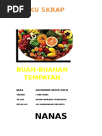 Buah - Buahan Tempatan Di Mlsia 1