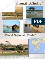 Parcul Național Chobe