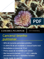 Cancerul Pulmonar 2013