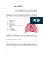 Corazón:: Capítulo I Anatomía Macroscópica Localización