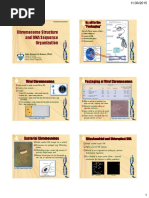 Genetics - Chromosome Structure