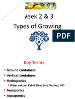 stem of growing food week 2   3