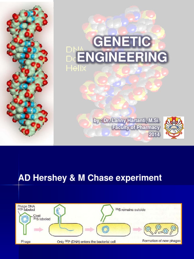 Understanding Genetic Engineering Basics | PDF | Molecular Cloning ...