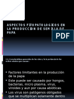 ASPECTOS FITOPATOLOGICOS EN LA PRODUCCION DE SEMILLA DE 123.pptx