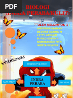 indera peraba